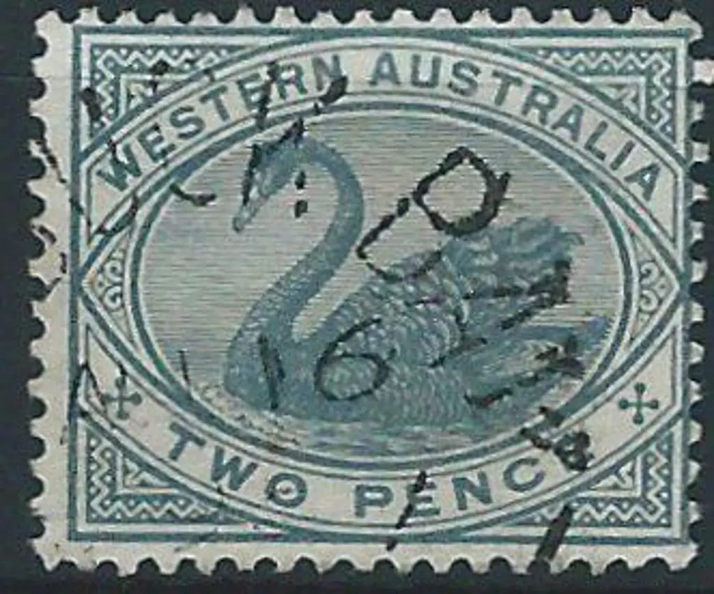 Roebuck Bay 2b on 2d grey swan for 16 AU 9(?). (1) Image 1++