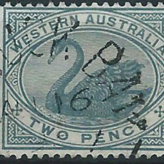 Roebuck Bay 2b on 2d grey swan for 16 AU 9(?). (1)