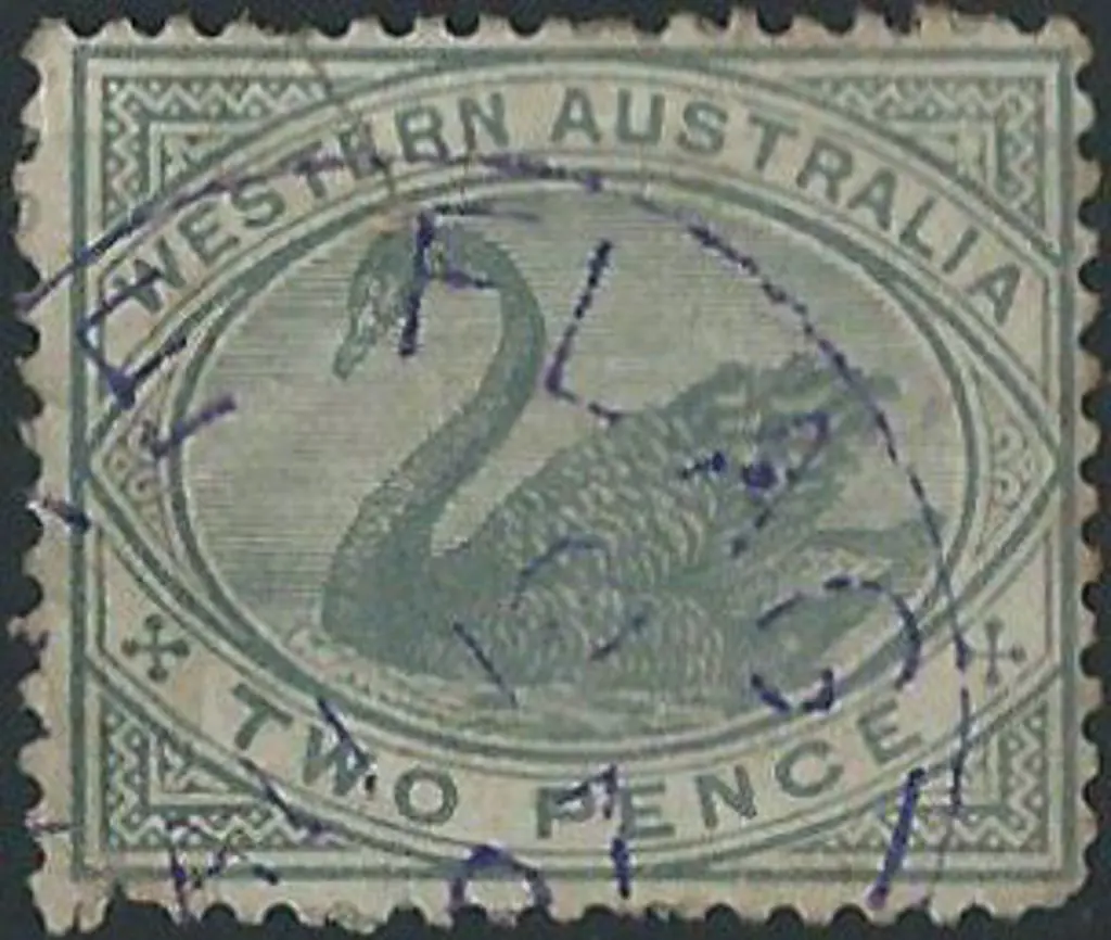 White Flag 3b in violet ink on 2d grey swan for 13 ... Image 1++