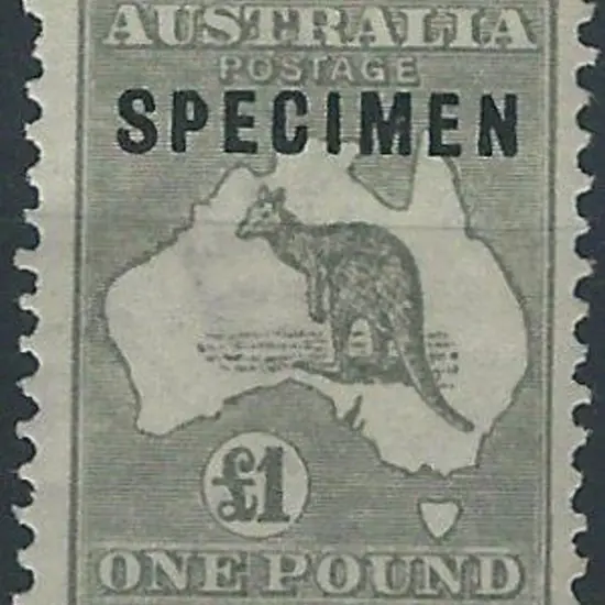 1915-28 3rd wmk £1 grey ovptd SPECIMEN type C, ...
