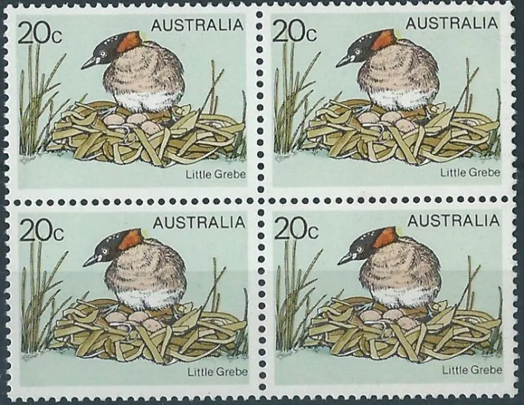 1978 20c Little Grebe block of 4 with the "Yellow ... Image 1++