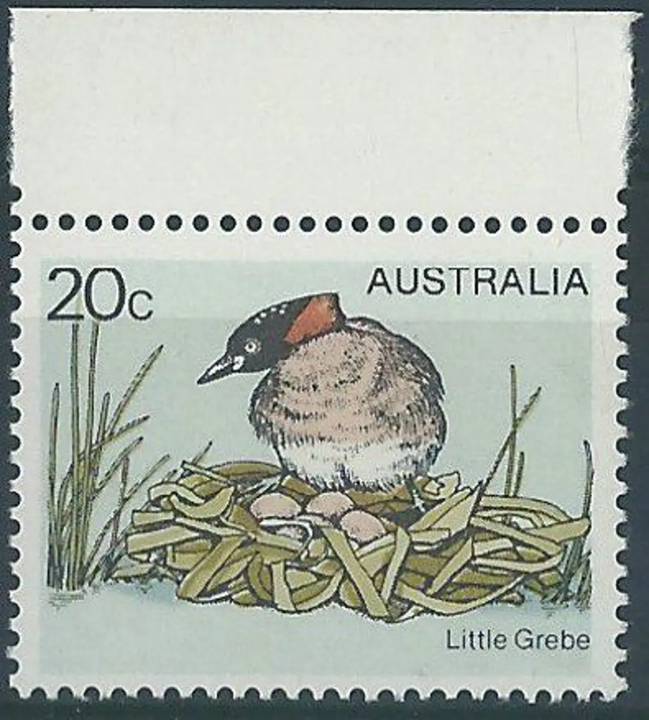 1978 20c Little Grebe top marginal example with ... Image 1++