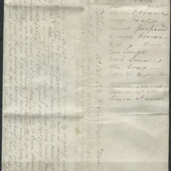 1838 Ticket of Leave issued to former convict, ...