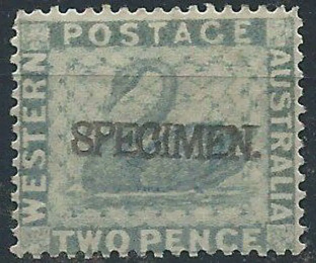 1888 2d grey swan ovptd "SPECIMEN". MLH. Image 1++