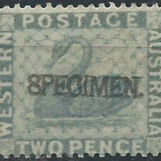1888 2d grey swan ovptd "SPECIMEN". MLH.