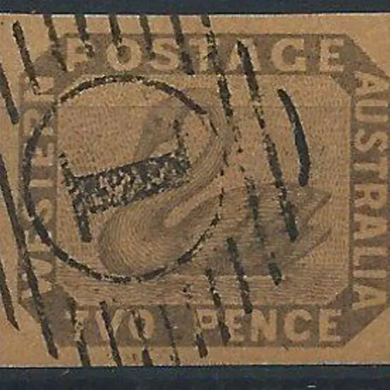Treherne 2d swan forgery with the "TVO" for "TWO" ...