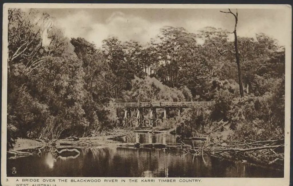 "A Bridge Over The Blackwood River in The Karri ... Image 1++