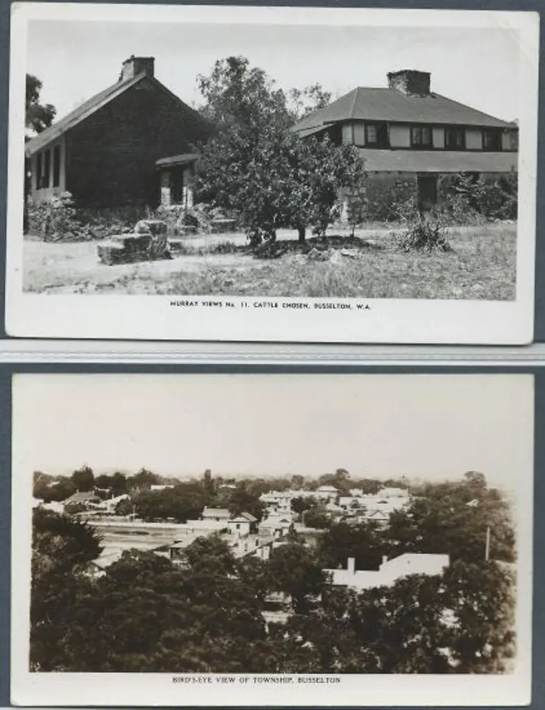 "Birdseye View of Township Busselton" & "Cattle ... Image 1++