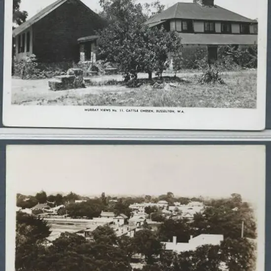 "Birdseye View of Township Busselton" & "Cattle ...