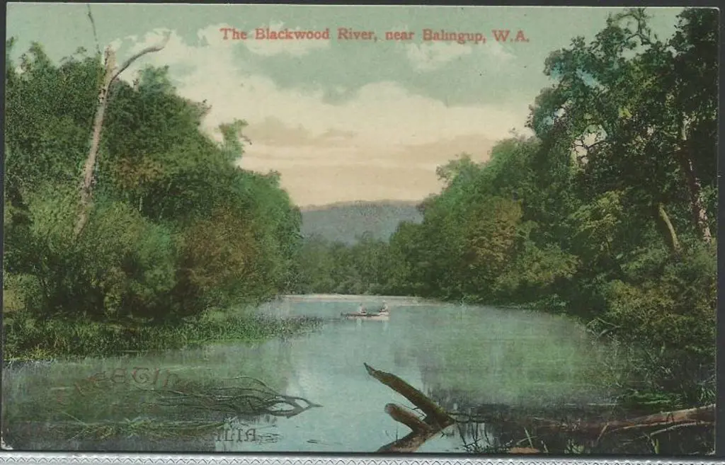 "The Blackwood River, near Balingup, W.A." Falk ... Image 1++