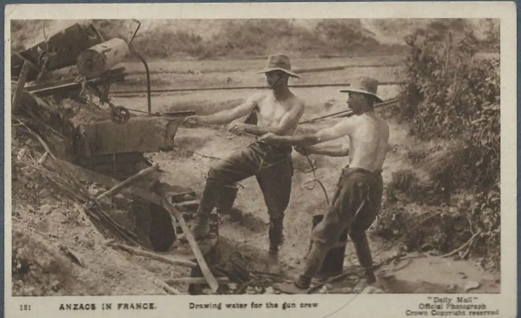 1915 "Anzacs in France. Drawing water for the gun ... Image 1++