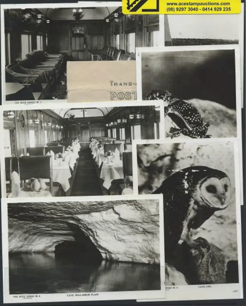 1917 Trans-Australian Railway b&w postcards in ... Image 1++