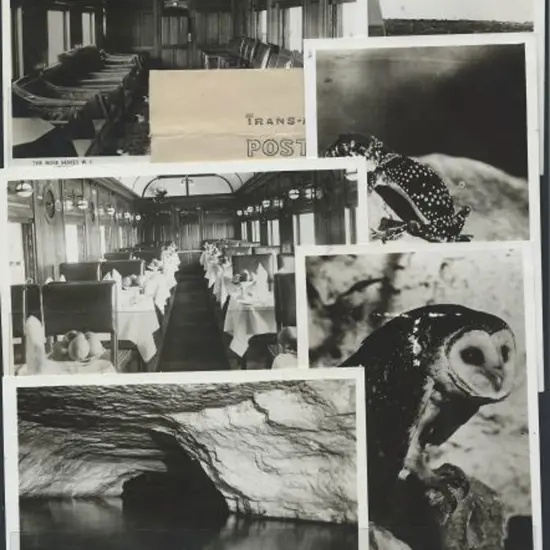 1917 Trans-Australian Railway b&w postcards in ...
