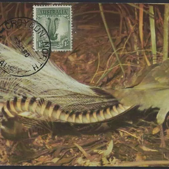 1960 (5th Jan) 1/- Lyrebird on Lyrebird ...