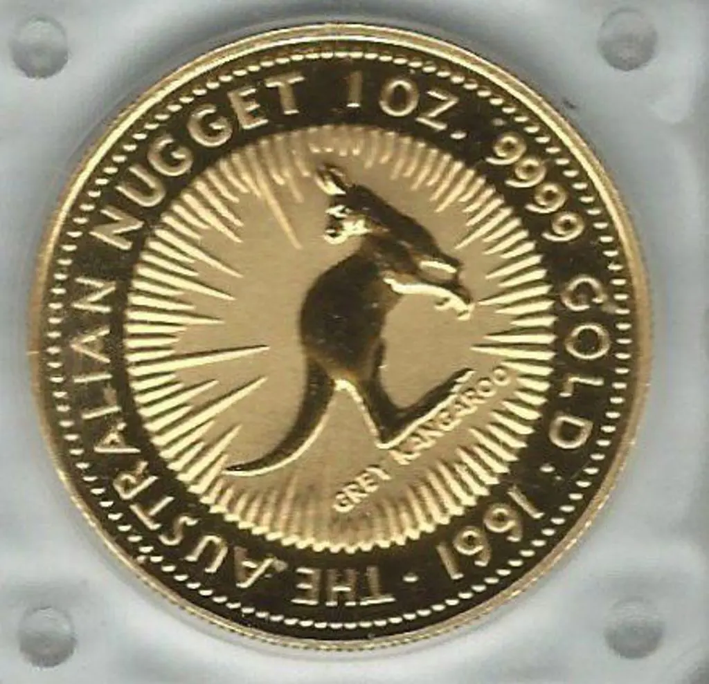 1991  $100 Grey Kangaroo 1oz gold proof coin from ... Image 1++