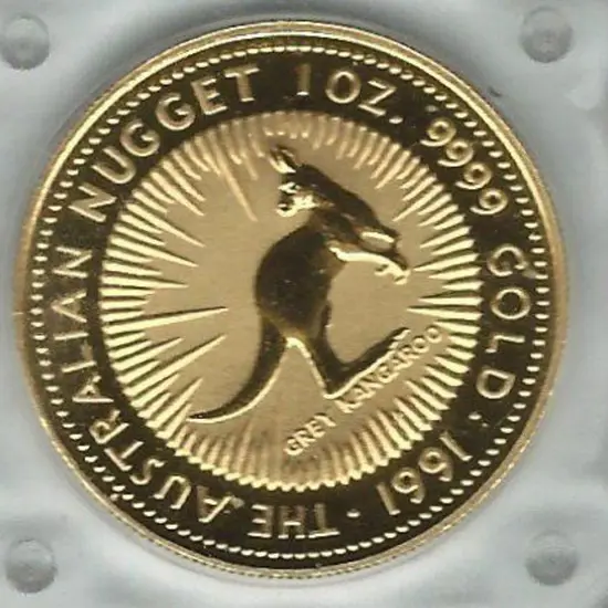 1991  $100 Grey Kangaroo 1oz gold proof coin from ...