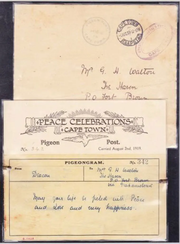 1919 (2nd Aug) South Africa Peace Celebrations ... Image 1++
