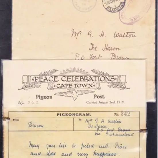 1919 (2nd Aug) South Africa Peace Celebrations ...