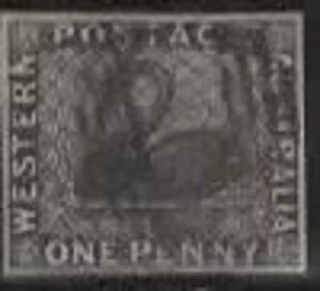 1854 1d black swan fine used with void grid ... Image 1++