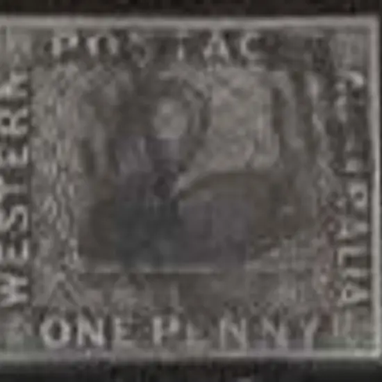 1854 1d black swan fine used with void grid ...