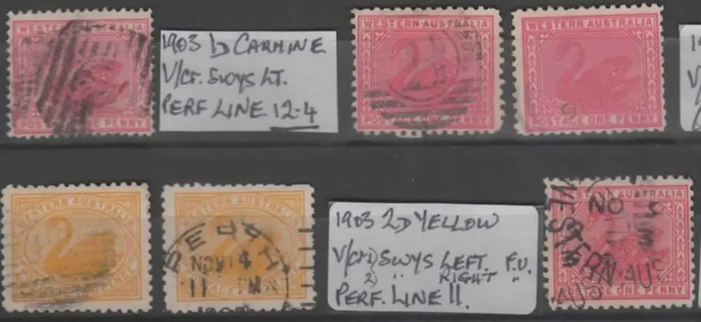 1903 1d carmine perf. 11 & perf 12½ examples plus ... Image 1++