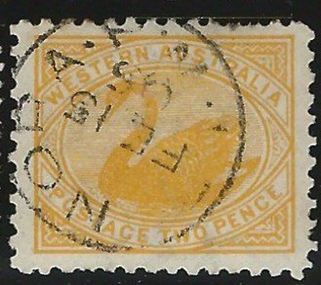 1903 2d yellow swan, perf. 11, with upright wmk. ... Image 1++