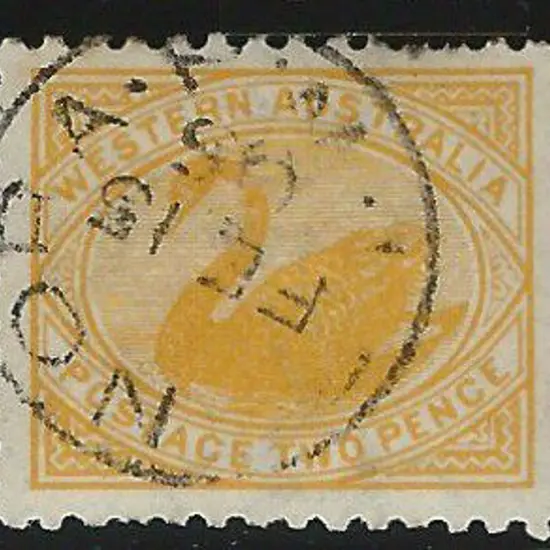 1903 2d yellow swan, perf. 11, with upright wmk. ...