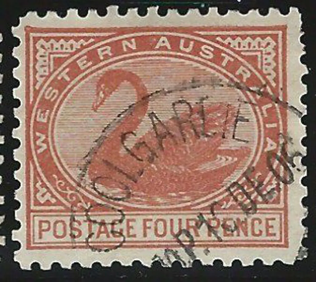 1903 4d chestnut swan, perf. 11 with V crown wmk ... Image 1++