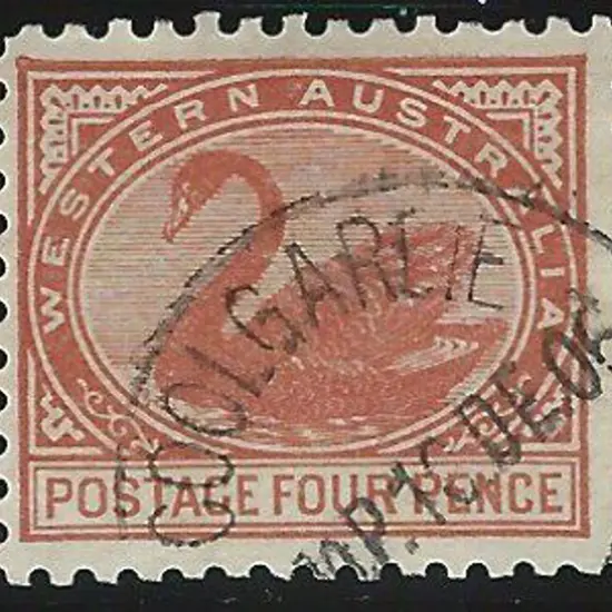 1903 4d chestnut swan, perf. 11 with V crown wmk ...