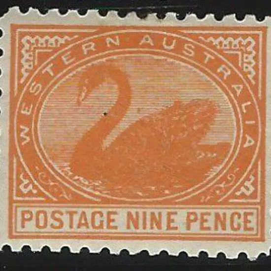 1903 9d yellow-orange swan, perf. 11 with V crown ...