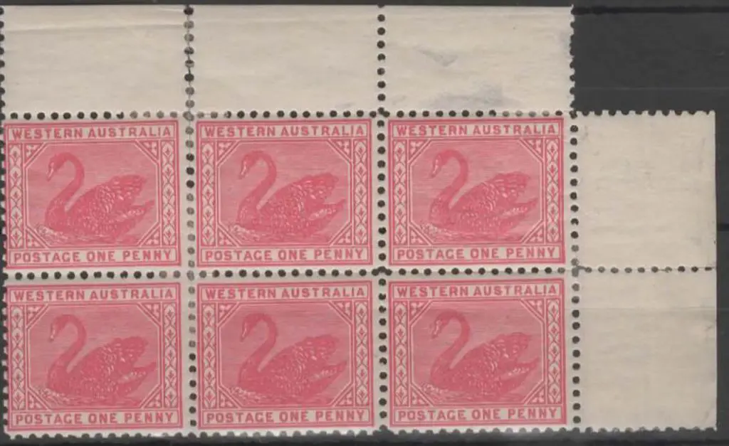 1905/12 1d rose pink swan, Crown over A wmk, perf. ... Image 1++
