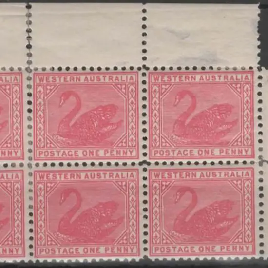 1905/12 1d rose pink swan, Crown over A wmk, perf. ...