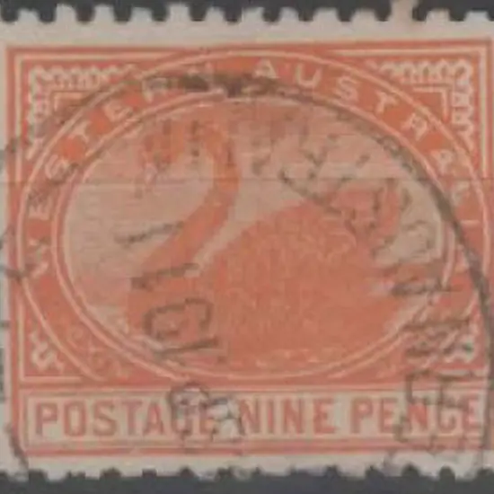 1910 9d red-orange swan, perf. 11 with crown A wmk ...