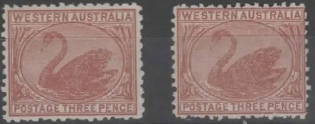 1912 3d brown swans on thin paper x 2. One with ... Image 1++