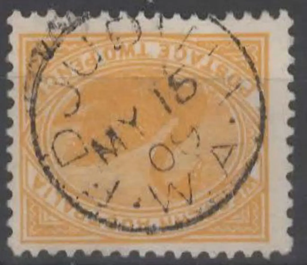 Edjudina 3b Complete strike on 2d yellow swan for ... Image 1++