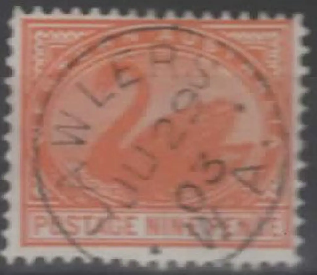 Lawlers 3b-b superb 100% strike on 9d swan for JU ... Image 1++