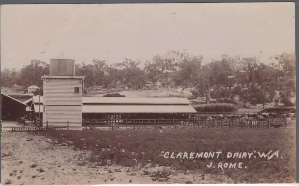 "Claremont Dairy, W.A." in sepia by J. Rome. Not ... Image 1++