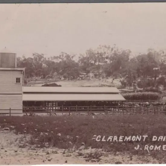 "Claremont Dairy, W.A." in sepia by J. Rome. Not ...