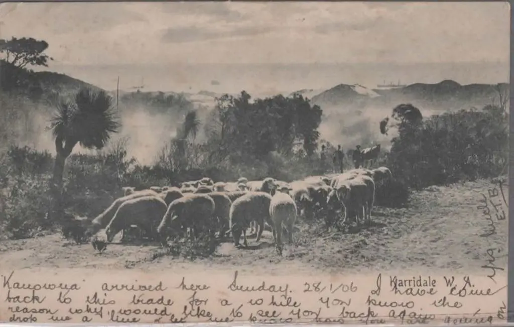 "Karridale W.A." Foy & Gibson b&w with Fremantle ... Image 1++