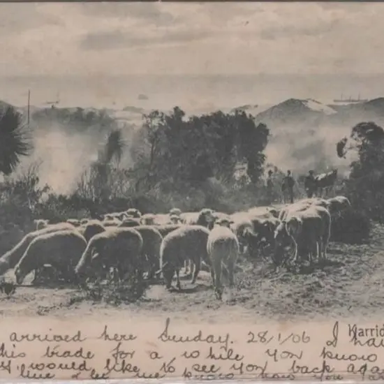 "Karridale W.A." Foy & Gibson b&w with Fremantle ...