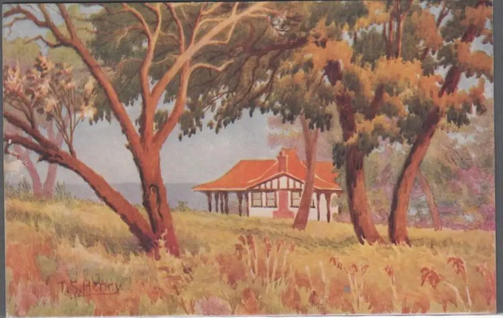 "Kings Park, Perth" No. 11 from the "Picturesque ... Image 1++
