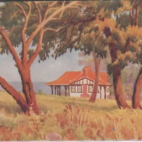 "Kings Park, Perth" No. 11 from the "Picturesque ...