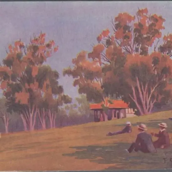 "Kings Park, Perth" No. 12 from the "Picturesque ...