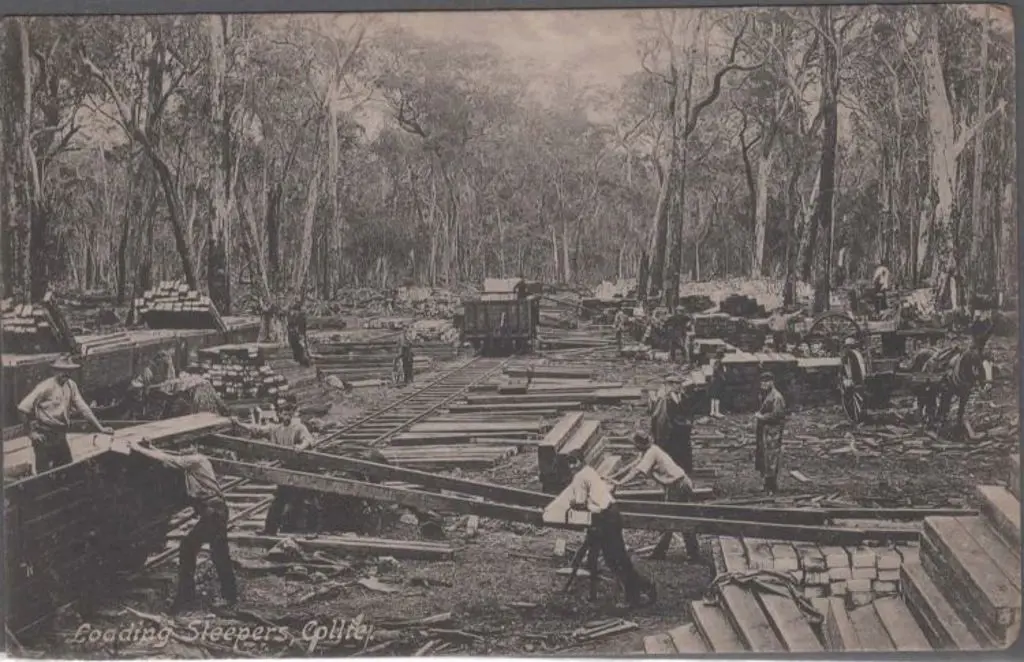 "Loading Sleepers, Collie" C.L. Clarke, Argus ... Image 1++