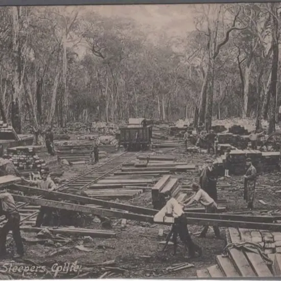 "Loading Sleepers, Collie" C.L. Clarke, Argus ...