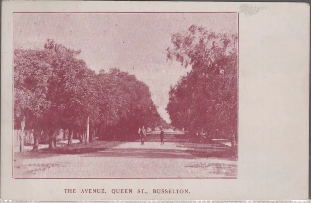 "The Avenue, Queen St., Busselton." South-Western ... Image 1++