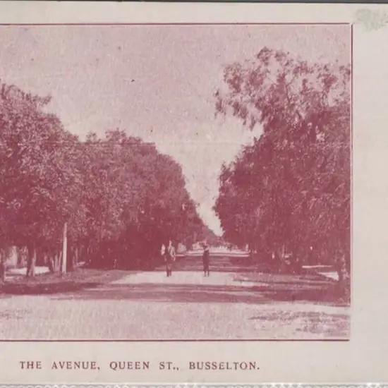 "The Avenue, Queen St., Busselton." South-Western ...