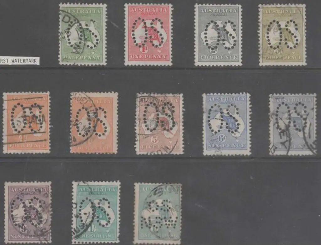 Officials collection on kangaroos perfined large & ... Image 1++