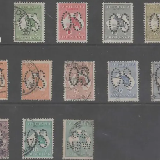 Officials collection on kangaroos perfined large & ...