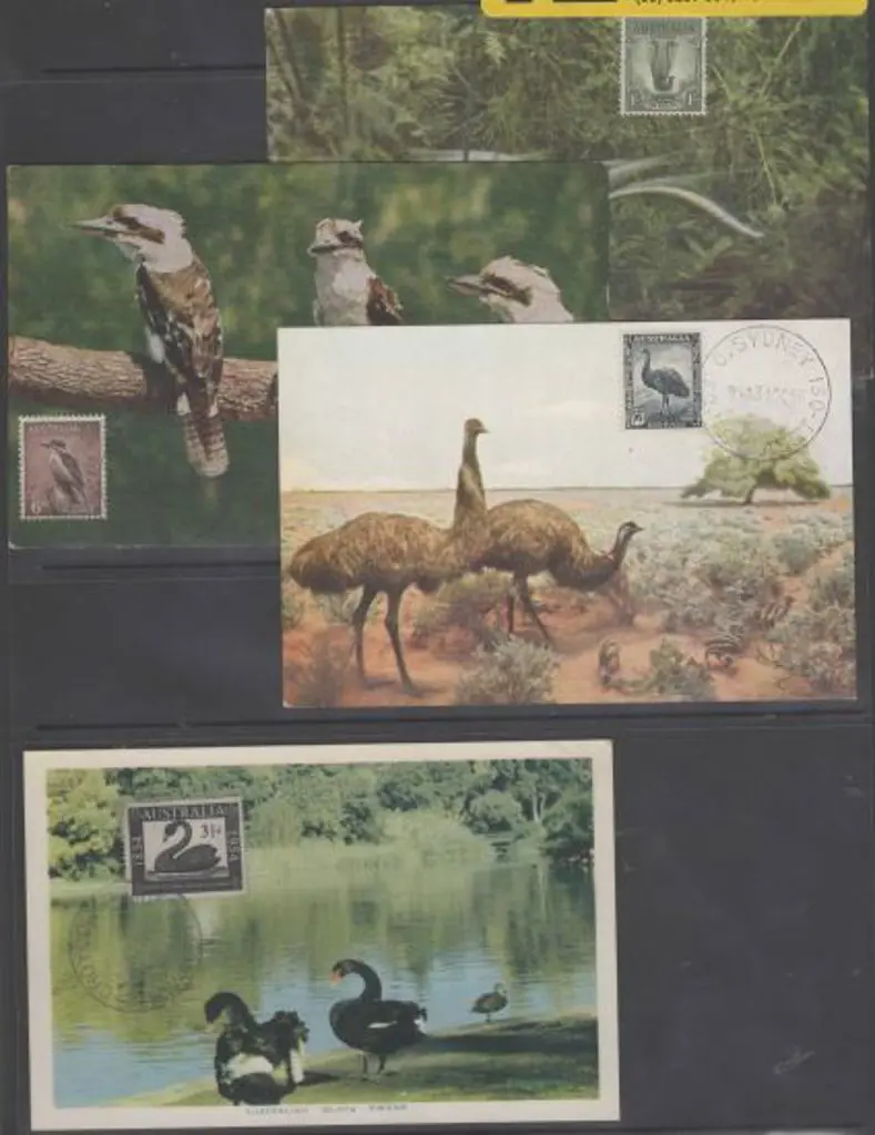 1954/57 early "Maxicards" for 3½d swan on ... Image 1++